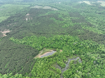 250 Acres Cass County Hunting Land | Shop & Living Quarters - image 13