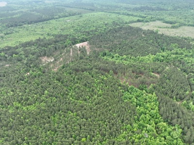 250 Acres Cass County Hunting Land | Shop & Living Quarters - image 16