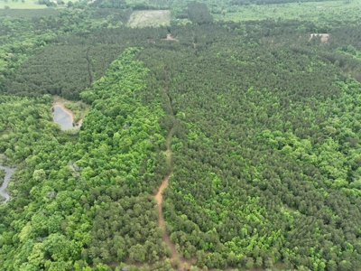 250 Acres Cass County Hunting Land | Shop & Living Quarters - image 14