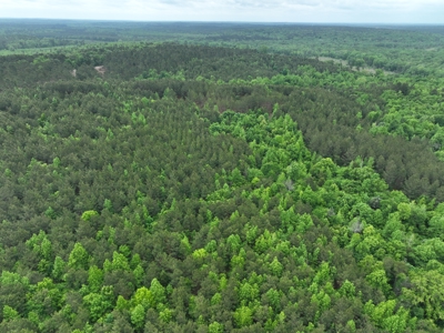 250 Acres Cass County Hunting Land | Shop & Living Quarters - image 17