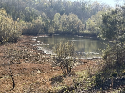 250 Acres Cass County Hunting Land | Shop & Living Quarters - image 9