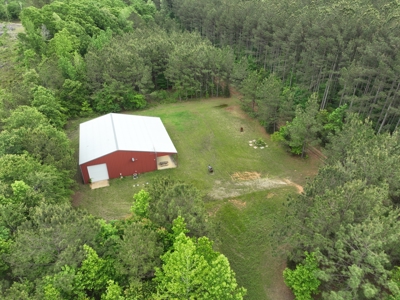 250 Acres Cass County Hunting Land | Shop & Living Quarters - image 19