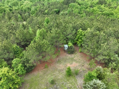 250 Acres Cass County Hunting Land | Shop & Living Quarters - image 23