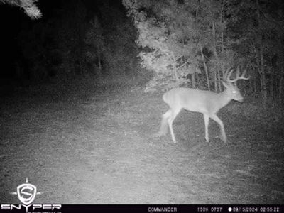 250 Acres Cass County Hunting Land | Shop & Living Quarters - image 7