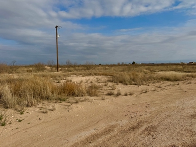 Land For Sale Fort Stockton Texas - image 10