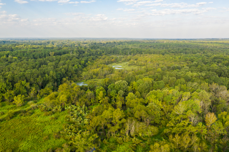 863-Acre Hunting Ranch on the Sabine River Big Sandy TX East TX - image 3