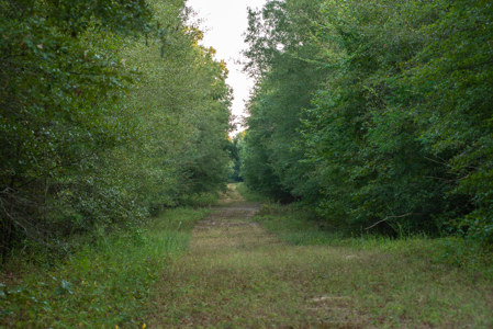 863-Acre Hunting Ranch on the Sabine River Big Sandy TX East TX - image 11