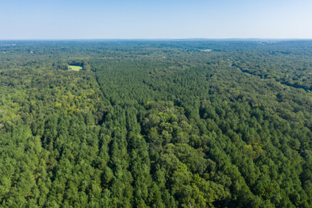 863-Acre Hunting Ranch on the Sabine River Big Sandy TX East TX - image 12