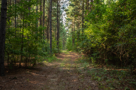 863-Acre Hunting Ranch on the Sabine River Big Sandy TX East TX - image 10