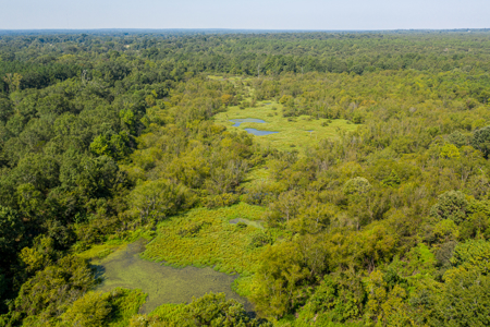 863-Acre Hunting Ranch on the Sabine River Big Sandy TX East TX - image 14