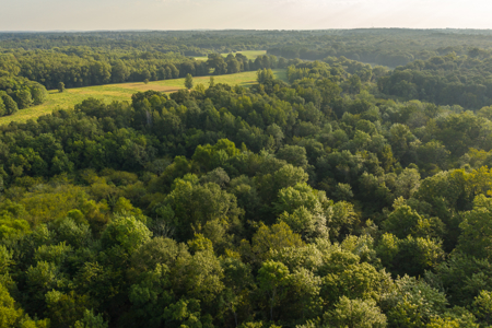 863-Acre Hunting Ranch on the Sabine River Big Sandy TX East TX - image 4