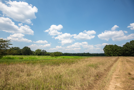 863-Acre Hunting Ranch on the Sabine River Big Sandy TX East TX - image 31
