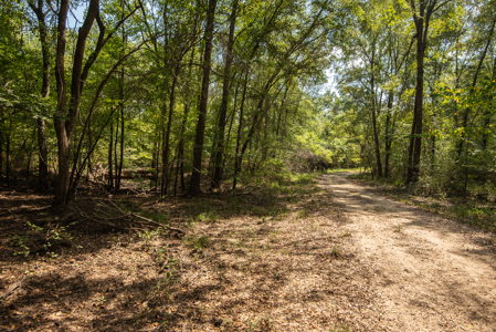 863-Acre Hunting Ranch on the Sabine River Big Sandy TX East TX - image 32