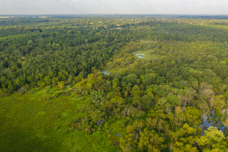 863-Acre Hunting Ranch on the Sabine River Big Sandy TX East TX - image 5