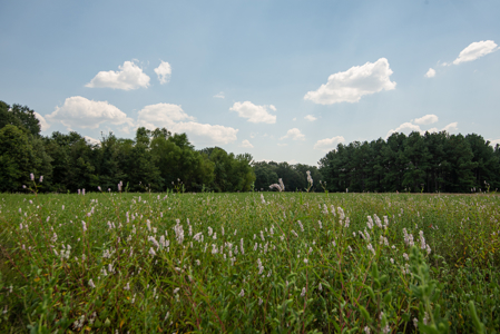 863-Acre Hunting Ranch on the Sabine River Big Sandy TX East TX - image 30