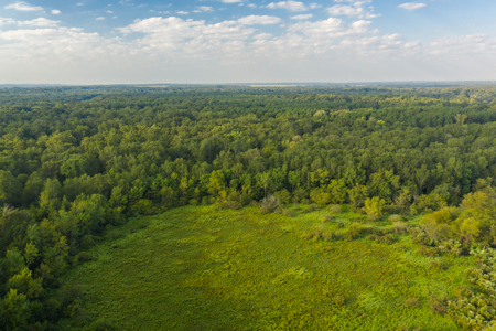 863-Acre Hunting Ranch on the Sabine River Big Sandy TX East TX - image 2