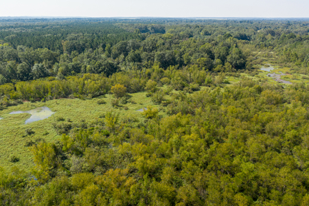 863-Acre Hunting Ranch on the Sabine River Big Sandy TX East TX - image 16