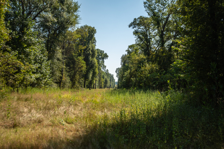 863-Acre Hunting Ranch on the Sabine River Big Sandy TX East TX - image 17