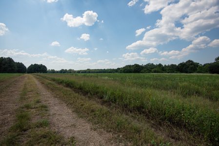 863-Acre Hunting Ranch on the Sabine River Big Sandy TX East TX - image 29