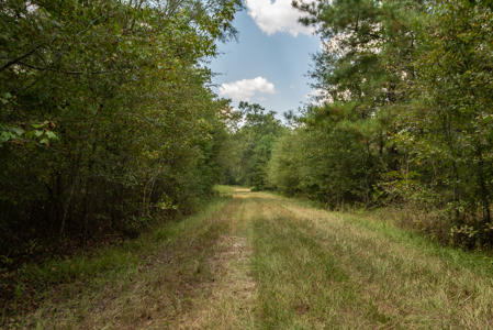 863-Acre Hunting Ranch on the Sabine River Big Sandy TX East TX - image 33