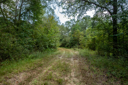 863-Acre Hunting Ranch on the Sabine River Big Sandy TX East TX - image 34
