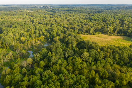 863-Acre Hunting Ranch on the Sabine River Big Sandy TX East TX - image 7
