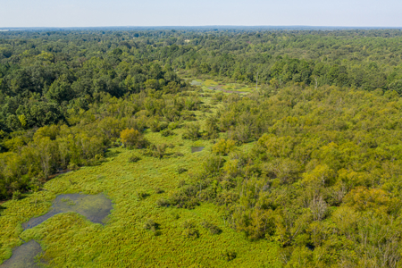 863-Acre Hunting Ranch on the Sabine River Big Sandy TX East TX - image 15
