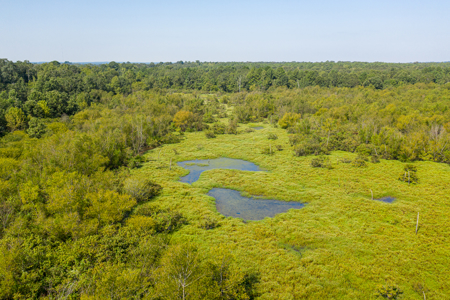 863-Acre Hunting Ranch on the Sabine River Big Sandy TX East TX - image 13