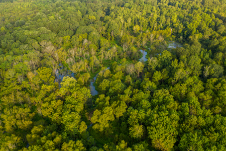 863-Acre Hunting Ranch on the Sabine River Big Sandy TX East TX - image 6
