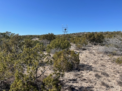 100-Acre Hunting Ranch with Cabin Near Iraan, TX Retreat - image 22
