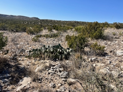 100-Acre Hunting Ranch with Cabin Near Iraan, TX Retreat - image 33
