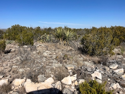 100-Acre Hunting Ranch with Cabin Near Iraan, TX Retreat - image 12