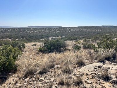 100-Acre Hunting Ranch with Cabin Near Iraan, TX Retreat - image 34