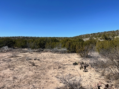 100-Acre Hunting Ranch with Cabin Near Iraan, TX Retreat - image 32