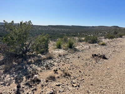100-Acre Hunting Ranch with Cabin Near Iraan, TX Retreat - image 35