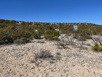 100-Acre Hunting Ranch with Cabin Near Iraan, TX Retreat - image 16
