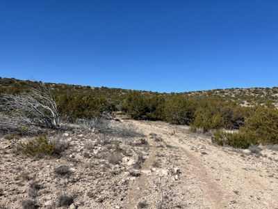 100-Acre Hunting Ranch with Cabin Near Iraan, TX Retreat - image 23
