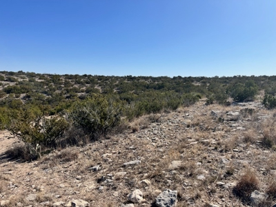 100-Acre Hunting Ranch with Cabin Near Iraan, TX Retreat - image 4