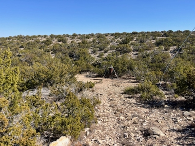 100-Acre Hunting Ranch with Cabin Near Iraan, TX Retreat - image 7