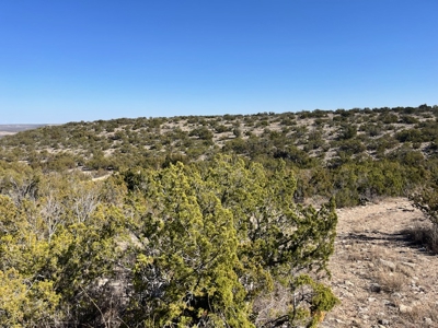 100-Acre Hunting Ranch with Cabin Near Iraan, TX Retreat - image 5