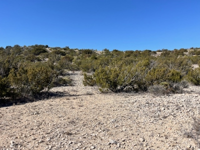100-Acre Hunting Ranch with Cabin Near Iraan, TX Retreat - image 17