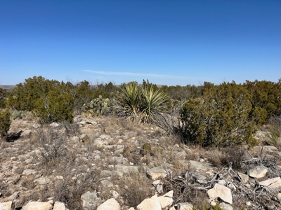 100-Acre Hunting Ranch with Cabin Near Iraan, TX Retreat - image 11