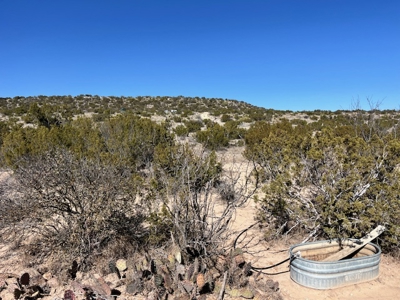 100-Acre Hunting Ranch with Cabin Near Iraan, TX Retreat - image 31