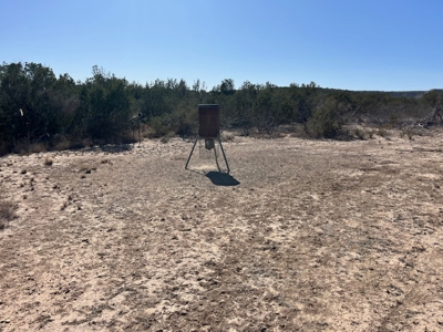 100-Acre Hunting Ranch with Cabin Near Iraan, TX Retreat - image 29