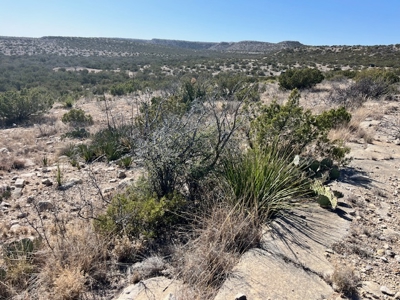 100-Acre Hunting Ranch with Cabin Near Iraan, TX Retreat - image 38