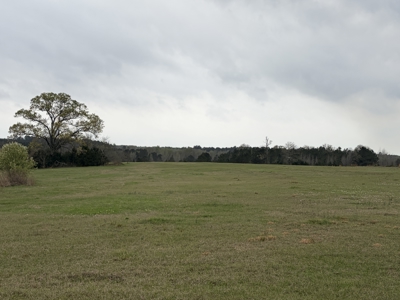 ±22.38 Acres with Views, Creek & Homesites Near Linden, Texas - image 2