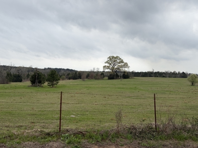 ±22.38 Acres with Views, Creek & Homesites Near Linden, Texas - image 1