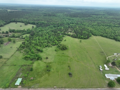 ±22.38 Acres with Views, Creek & Homesites Near Linden, Texas - image 6