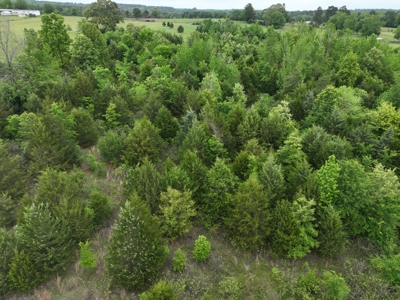 ±22.38 Acres with Views, Creek & Homesites Near Linden, Texas - image 8