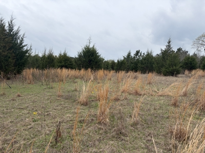 ±22.38 Acres with Views, Creek & Homesites Near Linden, Texas - image 3
